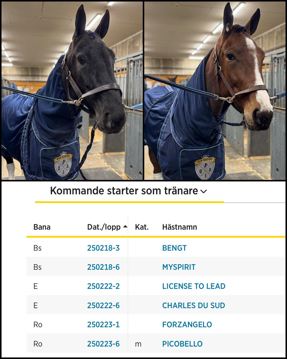 Idag är det Bollnästravet som gäller på lunchen. Håll tummarna för Bengt och Myspirit!💪🏻🍀