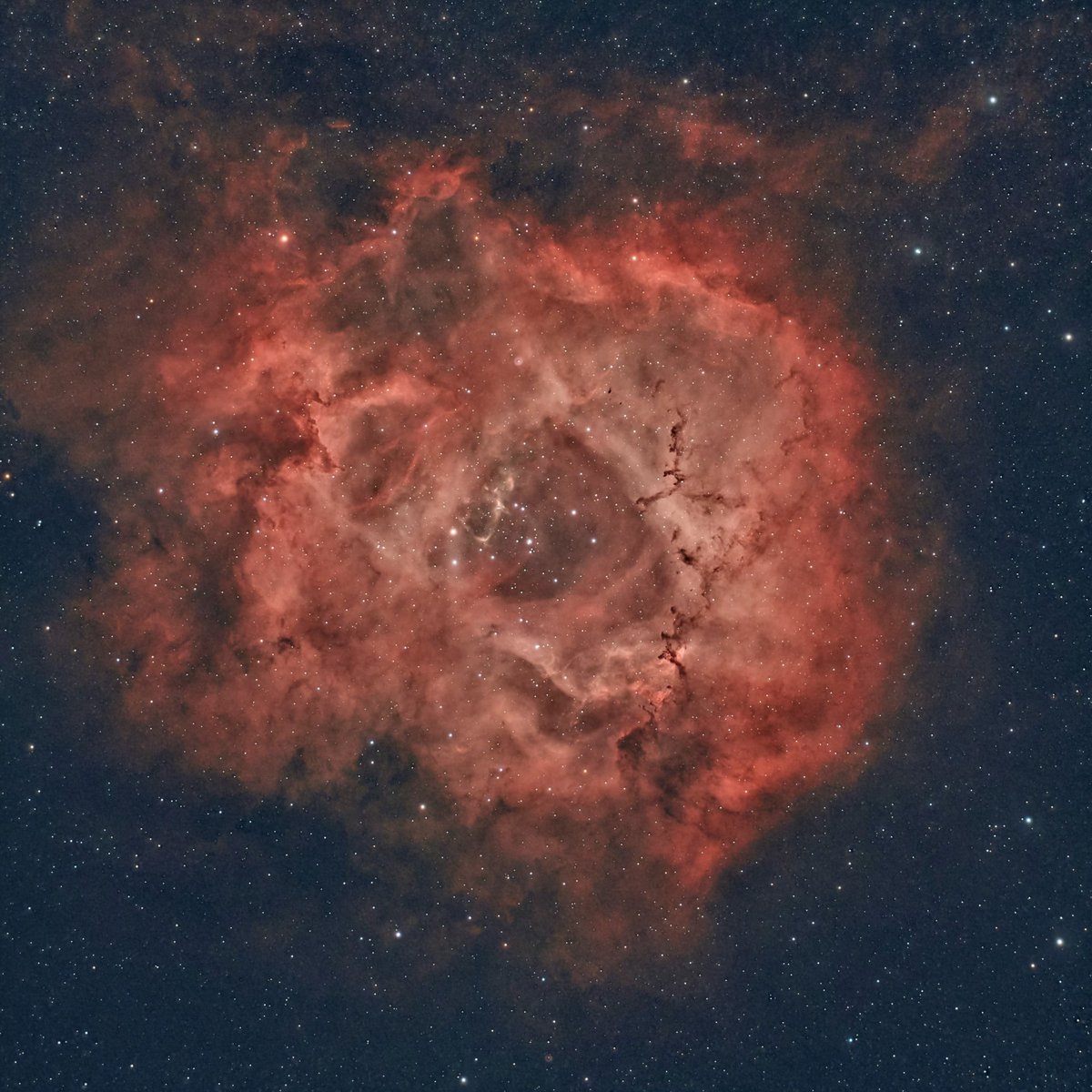 Nebulosa Roseta situada en la constelación monoceros .
#cielosESA #astrophotography #asiair