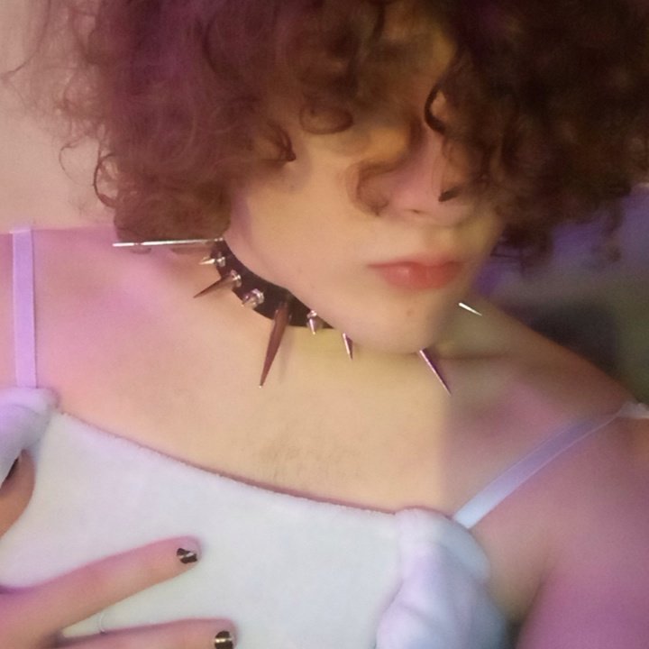 Bunnigirl_Clique tweet media