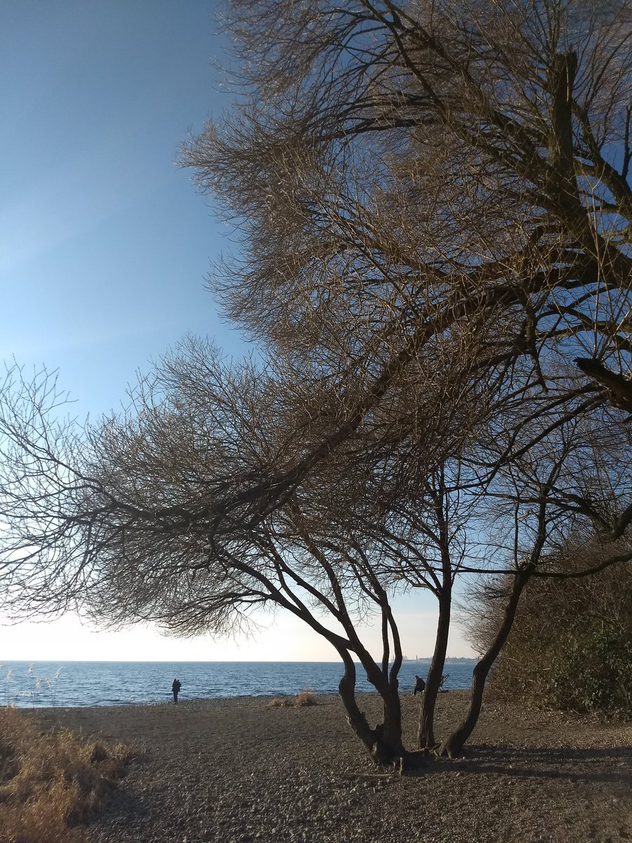 Marygoeswest's tweet image. Guten Morgen vom Bodensee ☕💙
#Morgengruß