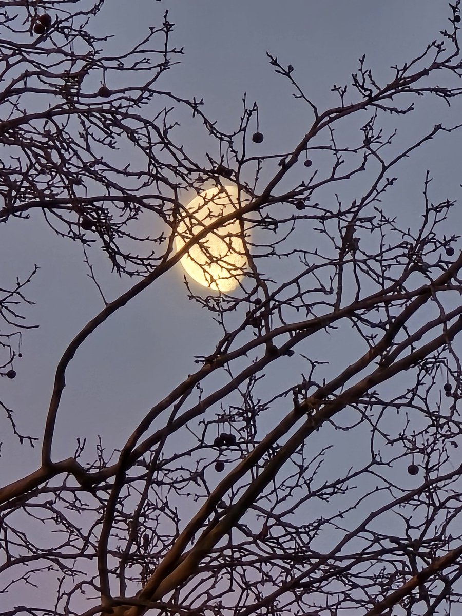 JackPosts (@bakisjack04) on Twitter photo Good morning, everyone!  Mr. Moon is still up, shining softly.  The sun is yet to come bt I can feel the promise of a wonderful day.☺️
Happy Tuesday! Good morning, everyone!  Mr. Moon is still up, shining softly.  The sun is yet to come bt I can feel the promise of a wonderful day.☺️
Happy Tuesday!