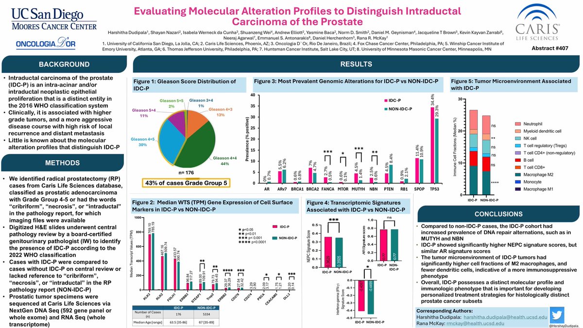 Rana McKay, MD, FASCO (@drranamckay) on Twitter photo Largest molecular analysis to date of IDC-P. Associated with distinct DNA gene alterations and signatures scores. <a href="/HersheyDudipala/">Harshitha Dudipala, MD</a> #GU25 Largest molecular analysis to date of IDC-P. Associated with distinct DNA gene alterations and signatures scores. <a href="/HersheyDudipala/">Harshitha Dudipala, MD</a> #GU25