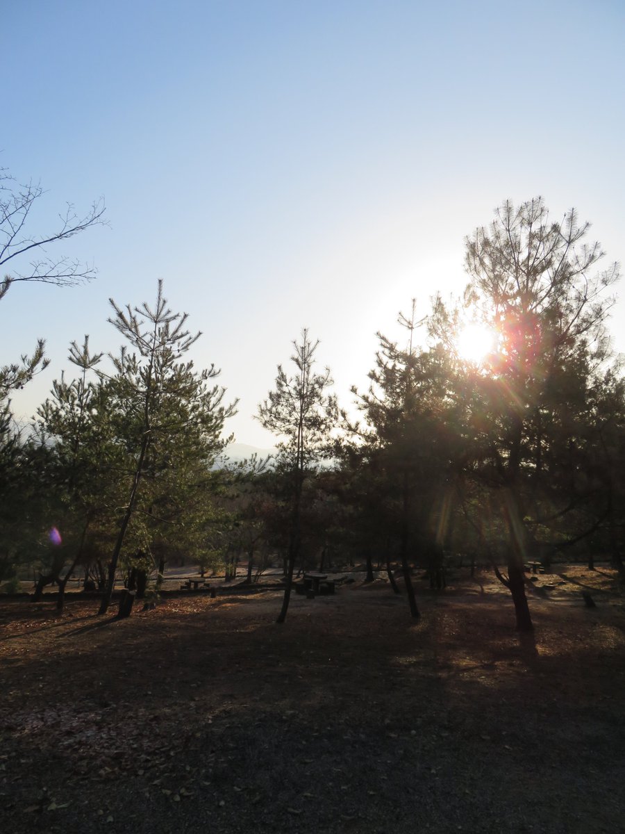 hitomihcx's tweet photo. Kameyama Park/亀山公園/2025.02.15
#Kyoto #京都 #arashiyama #嵐山
#KameyamaPark #亀山公園
#ArashiyamaPark #嵐山公園
#NearbyPark #近所の公園
#ObservationPlatform #展望台 https://t.co/CnFc9jLyme