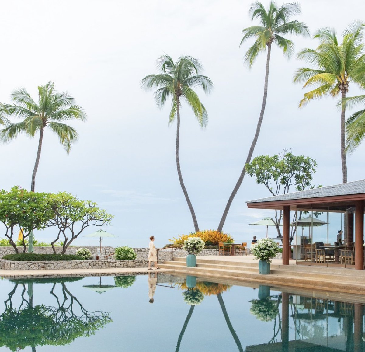 The Travel Portfolio tweet media