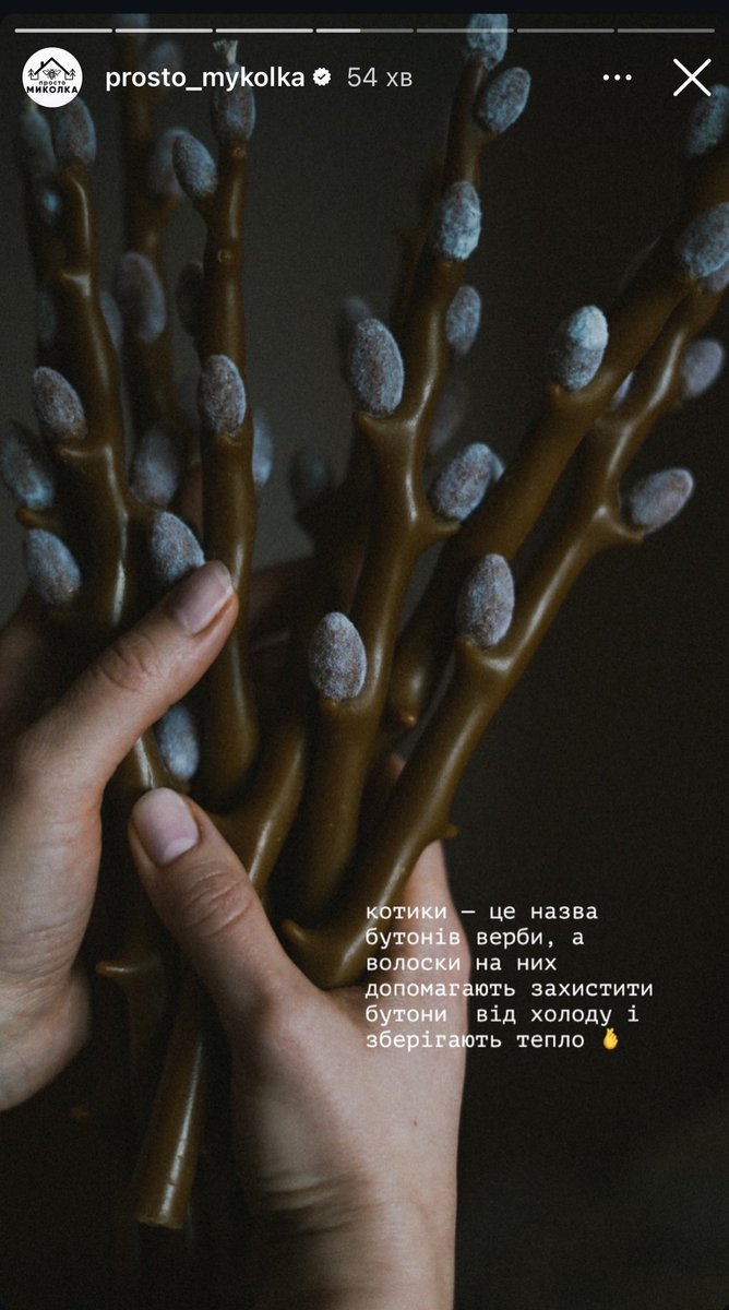 я не можу як це красиво🥹
у просто Миколки свічки-котики, щось неймовірне🩶