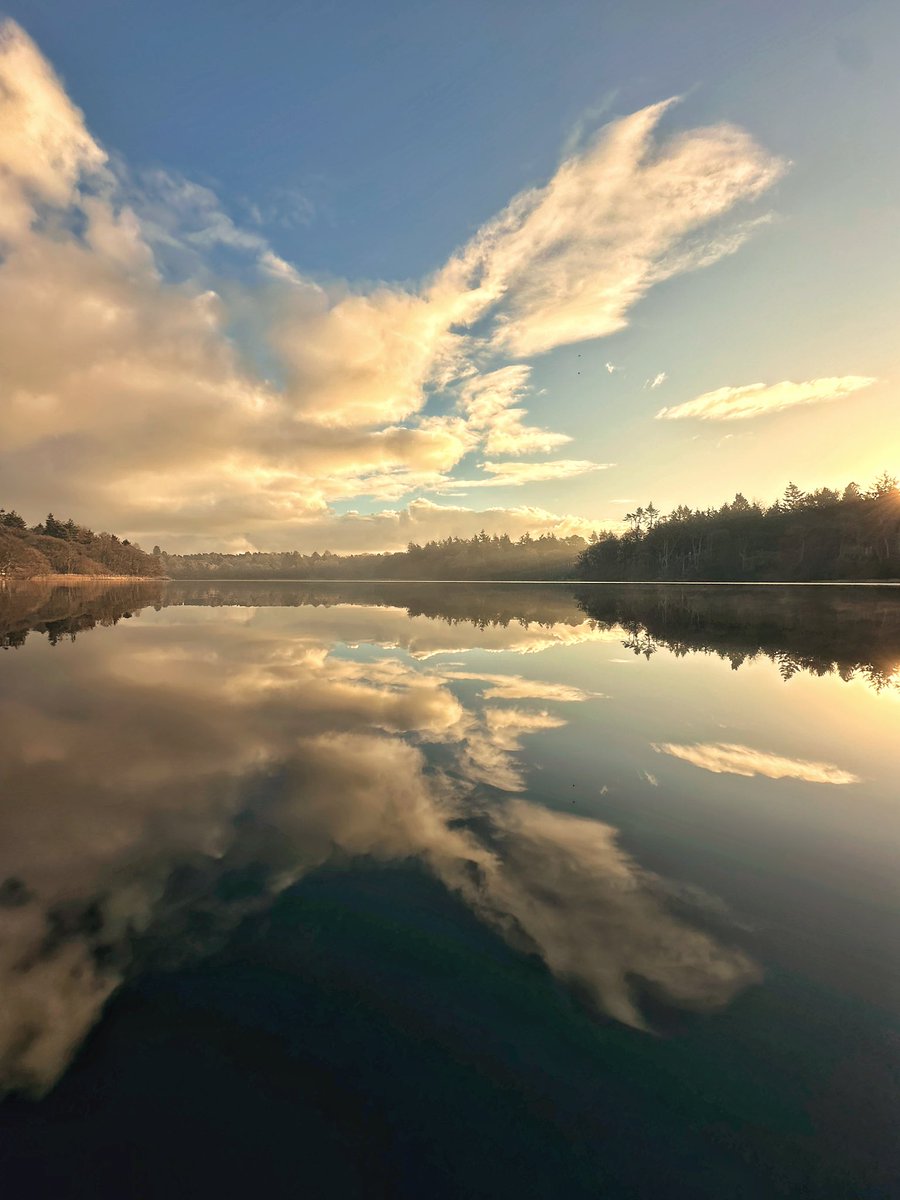 William Hulbert Photography tweet media