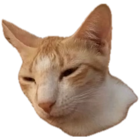 Sustention tweet media