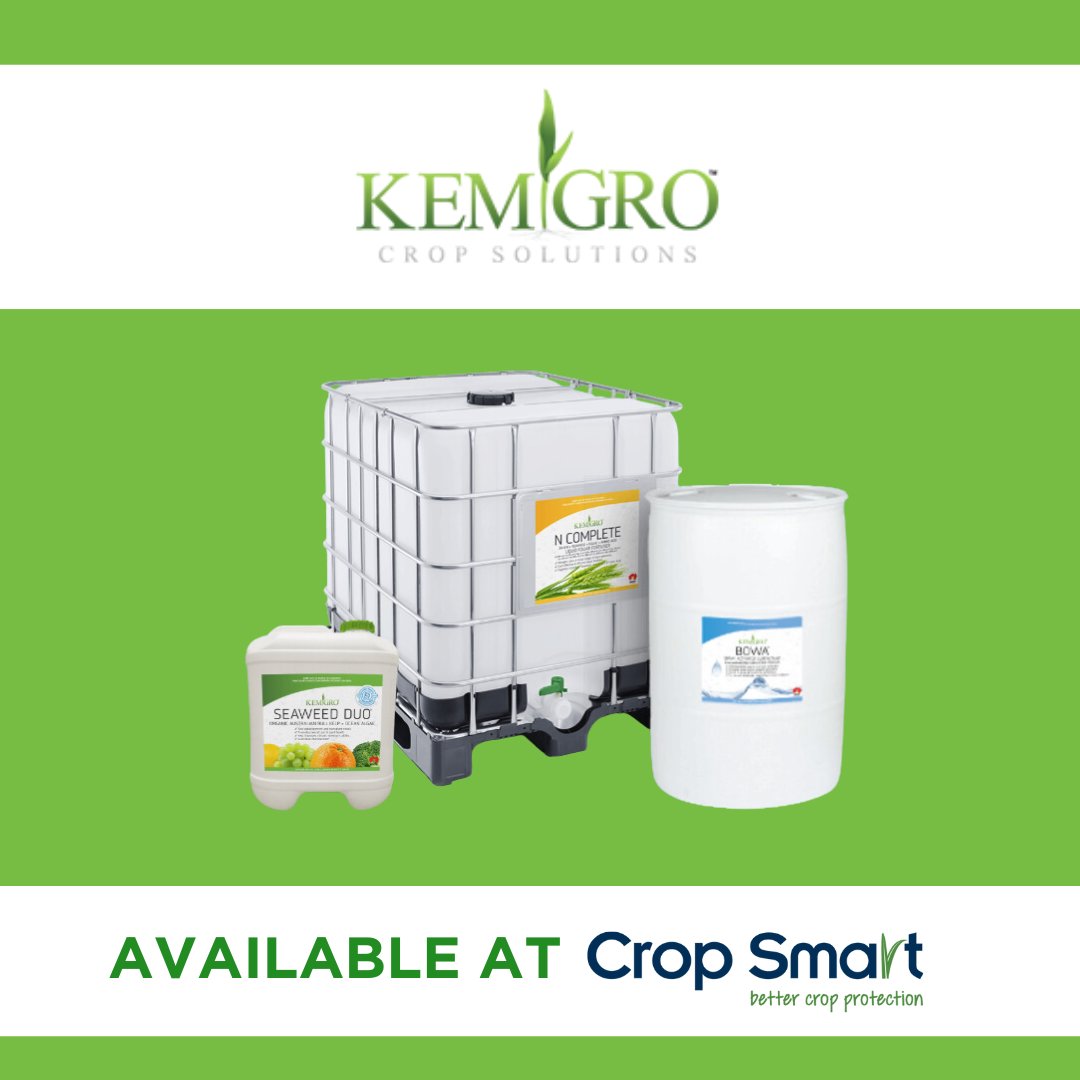 🌱Boost your Crop Game with Kemgro!🌱

At Crop Smart, we're a proud reseller of Kemgro Crop Solutions, a trusted named in high-quality liquid Nutrient and organic fertilisers, chelated trace elements, organic bio-stimulants, and surfactants.

Family owned and made in South