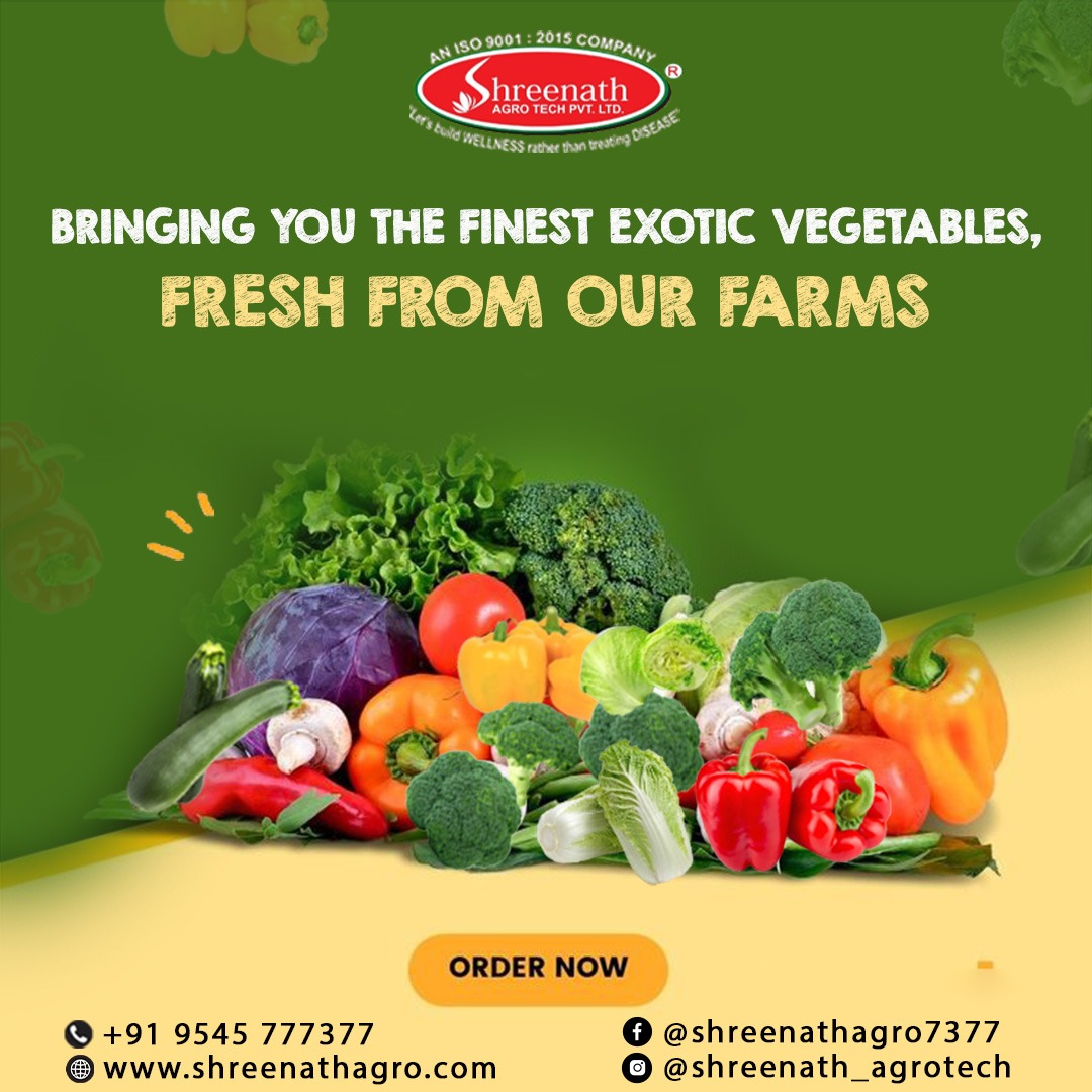 Straight from the farm to your plate! 🌿🥕🥦 Enjoy the freshest exotic vegetables, grown with love at Shreenath Agro Tech Pvt Ltd. 🌱✨

Taste the difference of farm-fresh goodness! 🏡💚

Visit us at- exoticvegetablespune.com

#FarmFresh #OrganicVegetables #ExoticVeggies