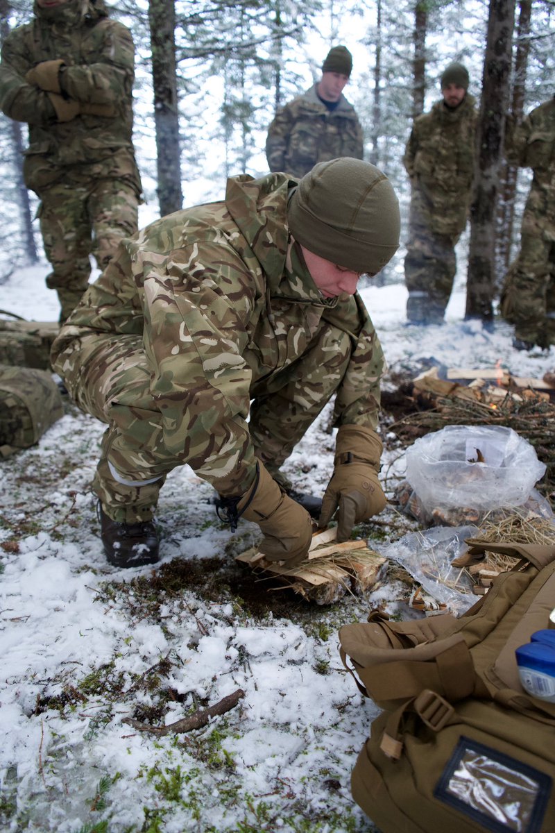 To survive, operate and fight in the Arctic, rigorous training is essential
We are honing our skills alongside our Norwegian <a href="/NATO/">NATO</a> partners, ensuring we’re ready for the challenges of this demanding environment ​

#RAFRegiment #TrainHardFightEasy #NATO #JointViking