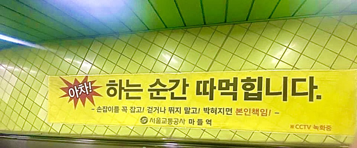 구청단홍단 (@chjpo0620) on Twitter photo 