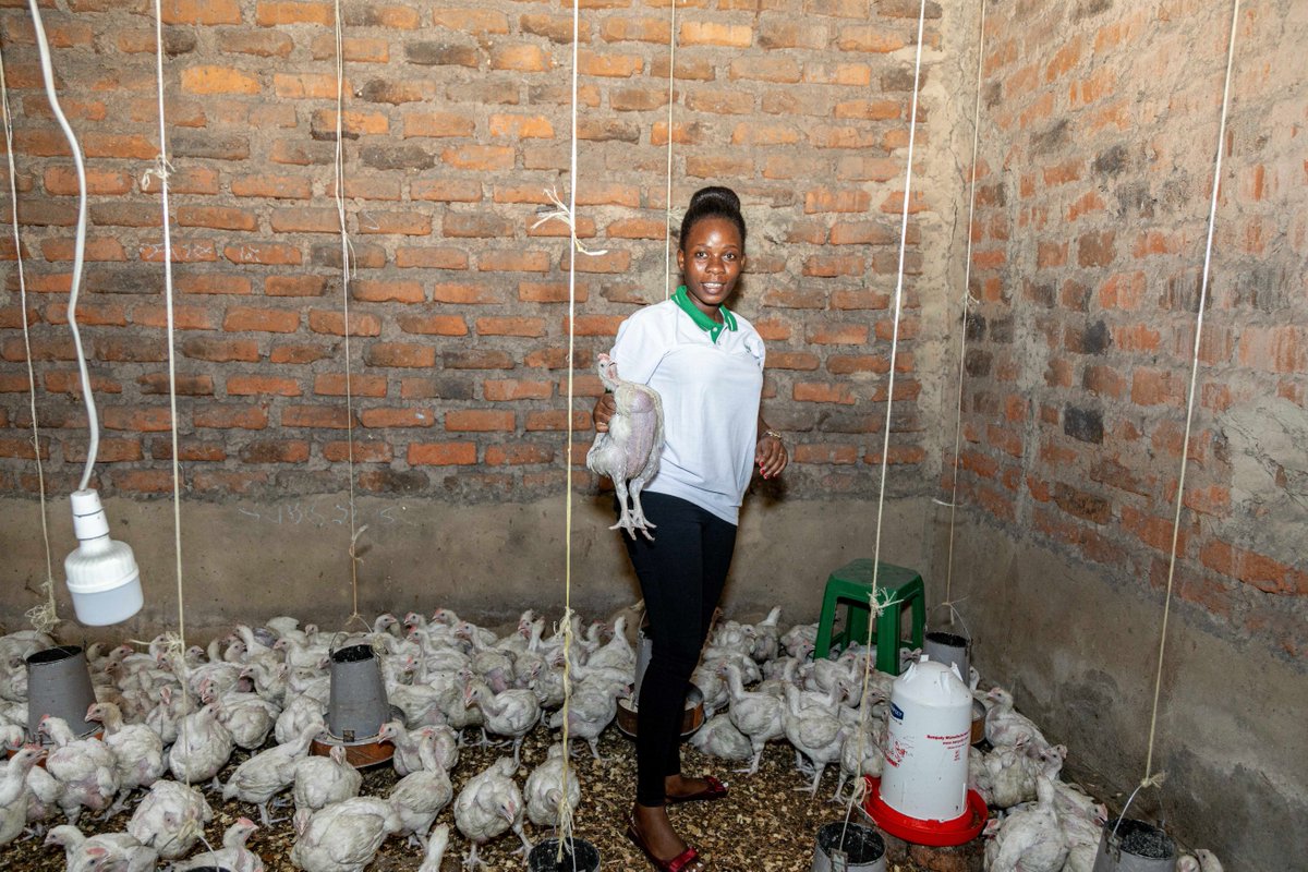 FSD Uganda (@fsduganda) on Twitter photo Participants in the <a href="/MastercardFdn/">Mastercard Foundation</a> MSE Recovery Fund are being represented by Rebecca Kwagalakwe, 26, from Masaka Road who got a loan worth 3.5M UGX to invest in a poultry project. Her business is now worth over 10M UGX and she has ventured in production of clean energy sources Participants in the <a href="/MastercardFdn/">Mastercard Foundation</a> MSE Recovery Fund are being represented by Rebecca Kwagalakwe, 26, from Masaka Road who got a loan worth 3.5M UGX to invest in a poultry project. Her business is now worth over 10M UGX and she has ventured in production of clean energy sources
