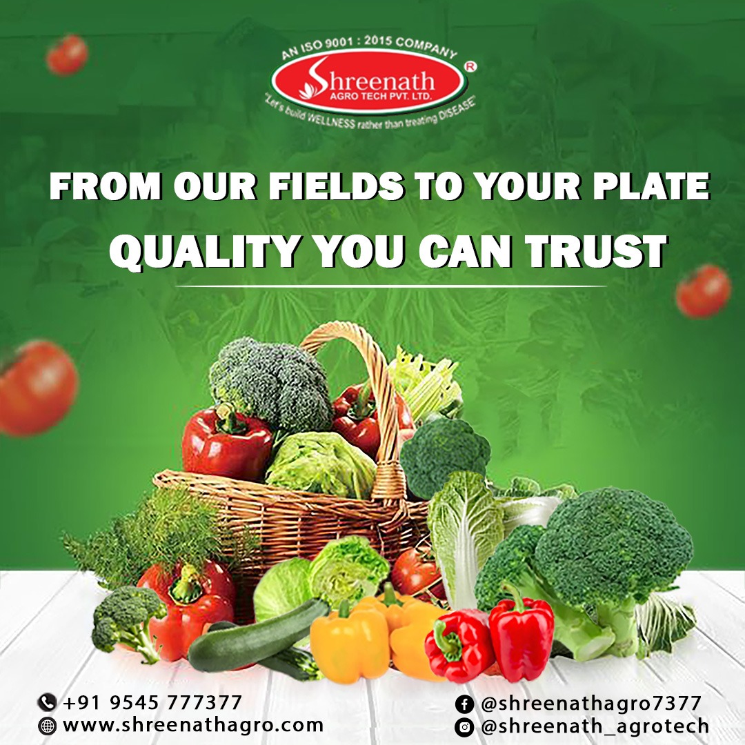 Fresh &amp; Exotic, Straight from the Farm!
🌿🥕🥬 Craving farm-fresh exotic vegetables? We've got you covered! Order now and enjoy the taste of nature’s best, delivered to your doorstep. 🌱🚜

📩 DM us to place your order!

#FarmFresh #OrganicVeggies #ExoticVegetables #HealthyEating