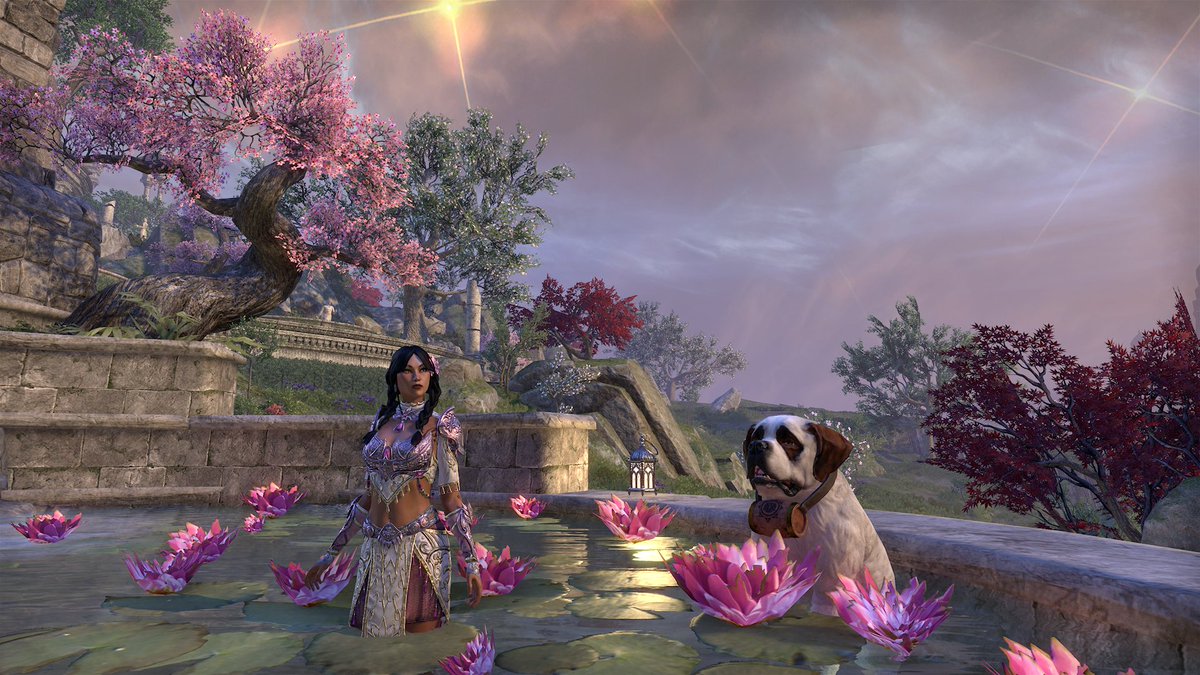 Just chillin on Artaeum for Heart's Day 🩷🥀 

#ESOfam