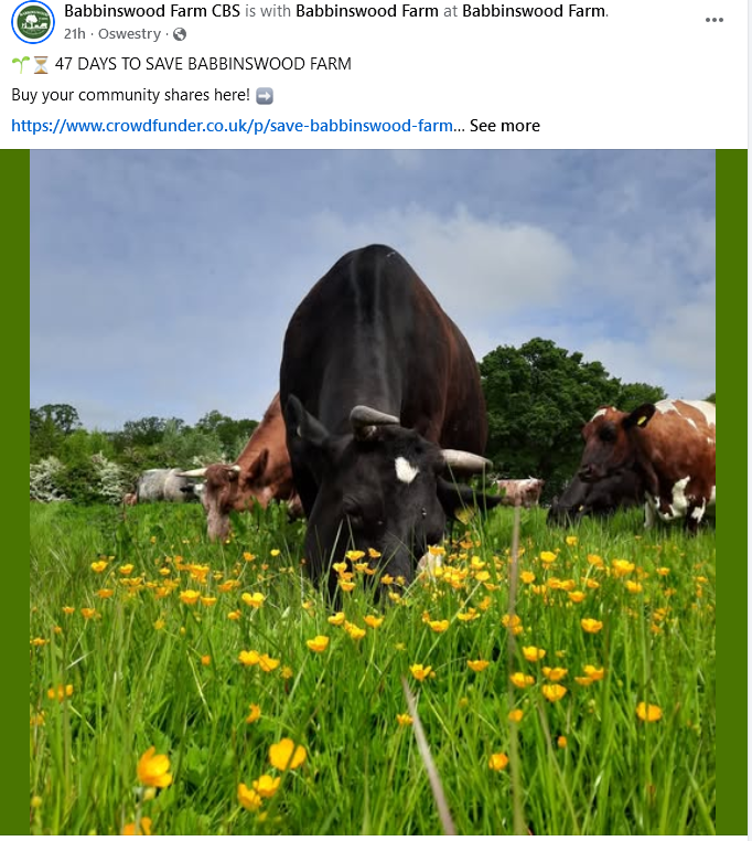 strawfields's tweet photo. Hi @JustStraightTal @TheEthicalBuyer @AlphaCo_op @envoid @lajina @paulstedman1964 @GarethCUK
Buy some buttercups! Buy a share in this organic farm to save these buttercups from destruction.
https://t.co/6mc5Vq9Oat
#OrganicFarming #CommunityOwnership #SaveOurFarm https://t.co/Gj1jfhSBg7