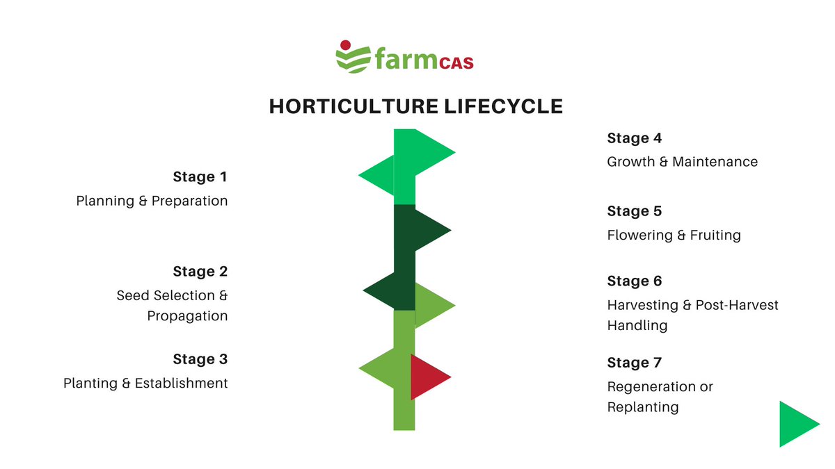 farm_cas's tweet image. Success in farming starts with understanding the horticulture lifecycle. FarmCAS provides farm owners with expert training, consulting, and capacity building to ensure sustainable and profitable growth. Partner with us today #FarmCAS #HumanResourceDevelopment #CapacityBuilding