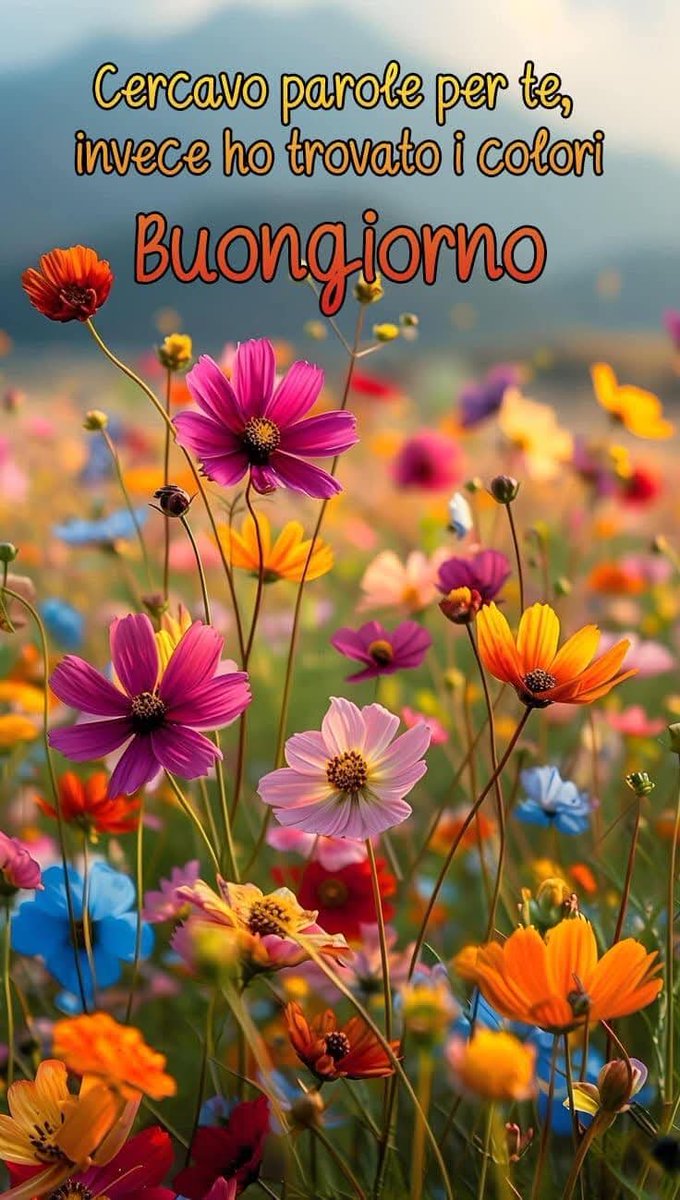 Marianna tweet media