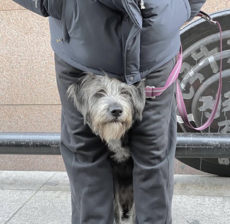 간단하다 (@jin_tennis0830) on Twitter photo 