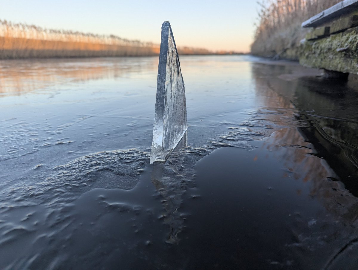 Halfambt tweet media