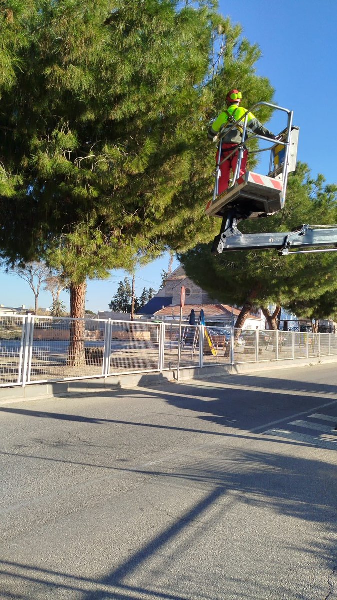 🐛 Se están tomando medidas en las zonas públicas para controlar la plaga de procesionaria. Si ves estas orugas, no las toques y avisa para que se puedan podar los nidos.

💫 #ChurraAvanza
<a href="/parquesdemurcia/">Parques de Murcia (STV-ActúaSM)</a>