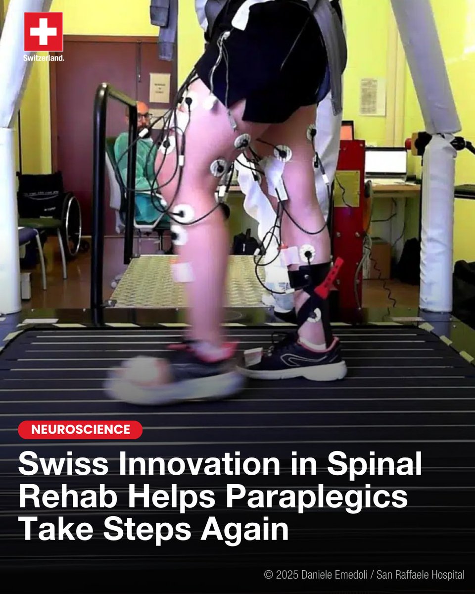 Swiss Mission to the EU (@swissmissioneu) on Twitter photo ✨Steps toward recovery!
In a groundbreaking 🇨🇭-🇮🇹 collaboration, researchers from <a href="/EPFL_en/">EPFL</a>, <a href="/MyUniSR/">Università Vita-Salute San Raffaele</a> and <a href="/ScuolaSantAnna/">ScuolaSantAnna</a> have developed a promising approach to help paraplegics take steps toward walking again.🚶
By using high-frequency spinal cord stimulation, they’ve reduced ✨Steps toward recovery!
In a groundbreaking 🇨🇭-🇮🇹 collaboration, researchers from <a href="/EPFL_en/">EPFL</a>, <a href="/MyUniSR/">Università Vita-Salute San Raffaele</a> and <a href="/ScuolaSantAnna/">ScuolaSantAnna</a> have developed a promising approach to help paraplegics take steps toward walking again.🚶
By using high-frequency spinal cord stimulation, they’ve reduced