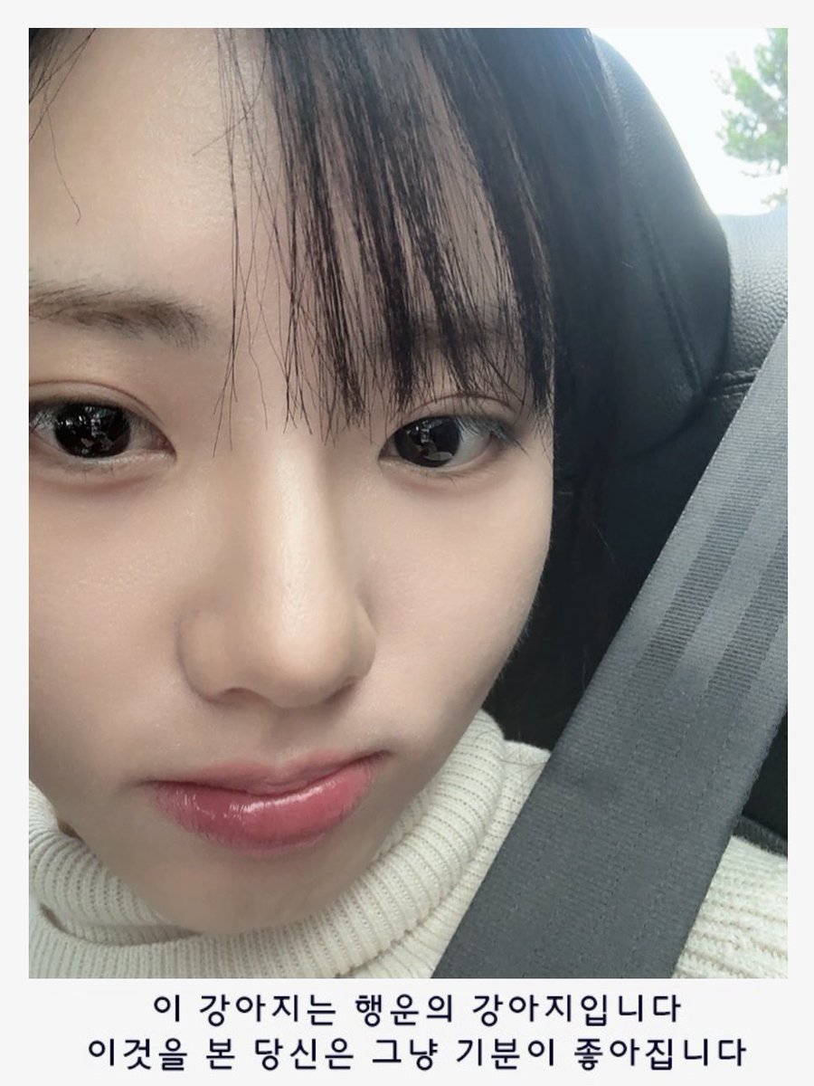 이공😴 tweet media