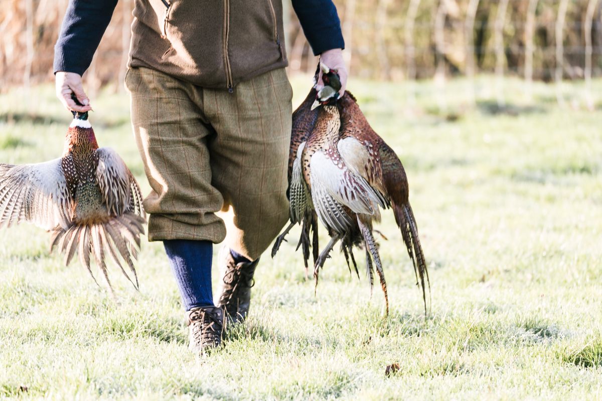🧑‍🎓 Launch Your Gamekeeping Career with <a href="/cravencollege/">Craven College</a>'s  New Countryside Worker Apprenticeship. Link is in reply below 👇