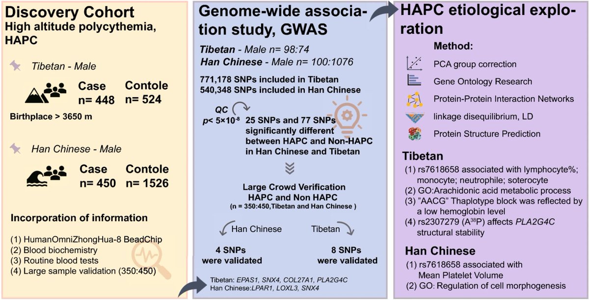 Phenomics_J's tweet photo. Phenomics research paper:Differences in Pathogenetic Mechanism Between Tibetan and Han High-Altitude Polycythemia Based on a Whole Genome-Wide Association Study
#HighAltitudePolycythemia
#GenomeWide
#IndependentVerification
#Tibetan
Share this article:https://t.co/iiePHvsImO https://t.co/pNyRcZncjb