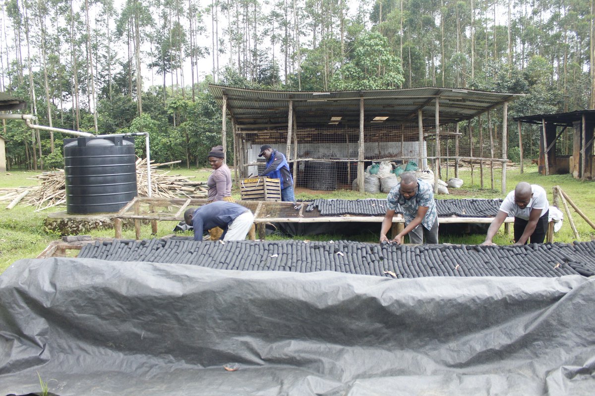 eco2libriumllc's tweet image. Briquettes offer an eco-friendly and cost-effective alternative to traditional fuels like charcoal &amp;amp; firewood. 

Made from compressed biomass waste, they burn longer, produce more heat &amp;amp;  create a cleaner cooking &amp;amp; heating experience.

Switch to #briquettes today!