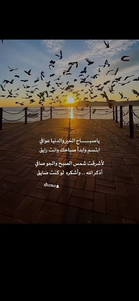 عبدالعزيز tweet media