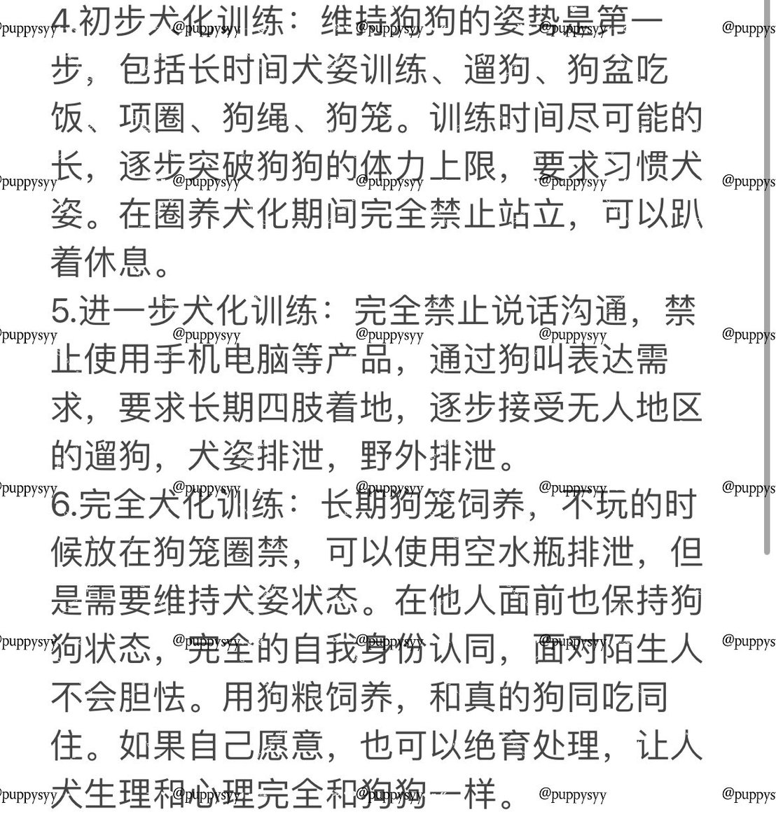 幼犬饲养员 (@puppysyy) on Twitter photo 