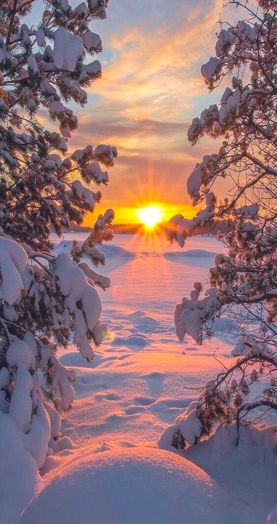 “Good things take time ..”

Morning .. Have a miracle day ..🌞