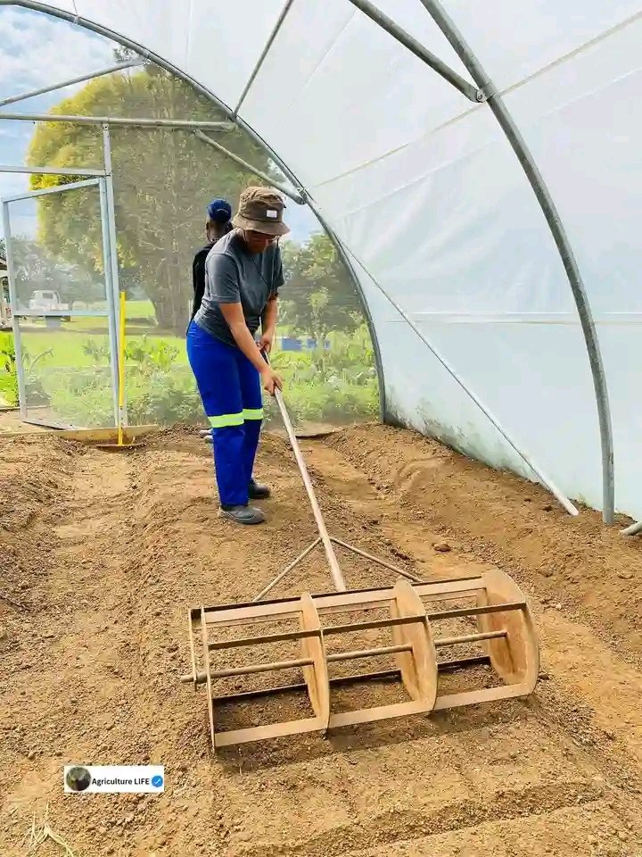 Temslee's tweet image. Organic food is nature's purest gift----fresh, wholesome and bursting with goodness ❤️ 💪
What God Regina Rayo La liga #planecrash #ElonMusk