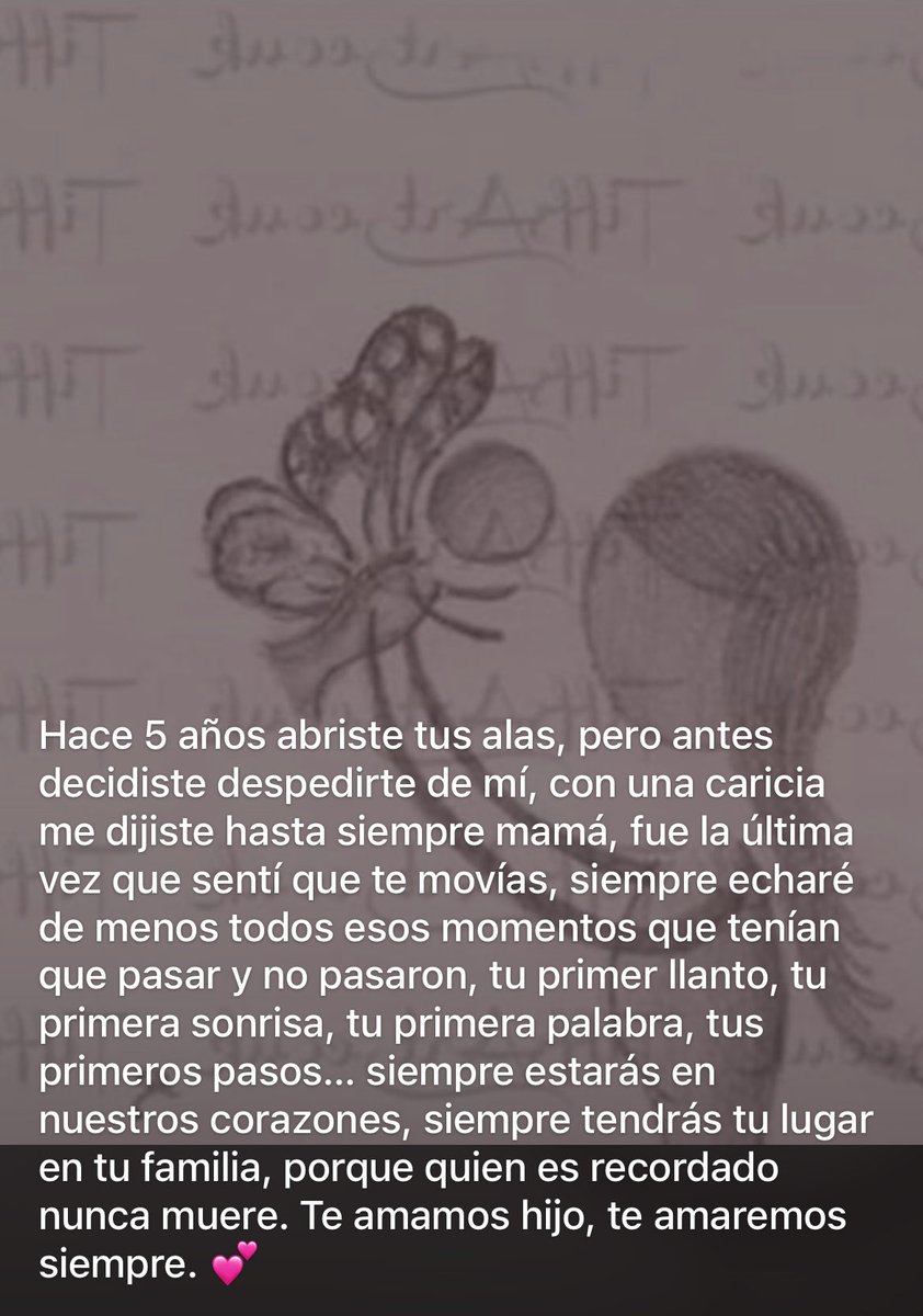 Liliana Londoño Leon (@lilianapllvu) on Twitter photo 