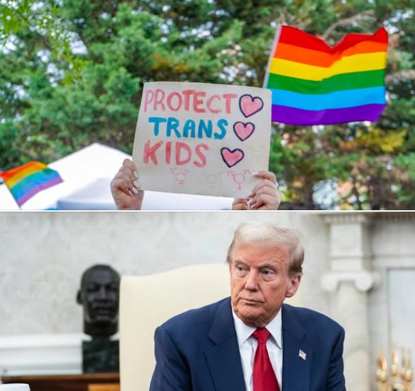 Tumban decreto de Trump contra infancia Trans.

Tras decenas de demandas, un juez federal ha bloqueado temporalmente el mandato del presidente, que prohíbe a la red de salud brindar asesoría y tratamiento a infantes Trans, para que puedan iniciar su proceso de transición. Hilo.