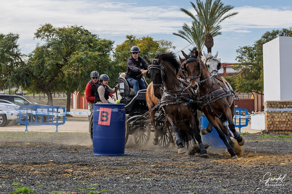 Campeonato de enganches palos de la Frontera 2025

<a href="/AytodePalos/">Ayto. de Palos Fra.</a> <a href="/DipuHU/">Diputación de Huelva</a> <a href="/puertodehuelva/">Puerto de Huelva</a> <a href="/AndaluciaJunta/">Junta de Andalucía</a> 
No utilizar las fotos sin permiso del autor