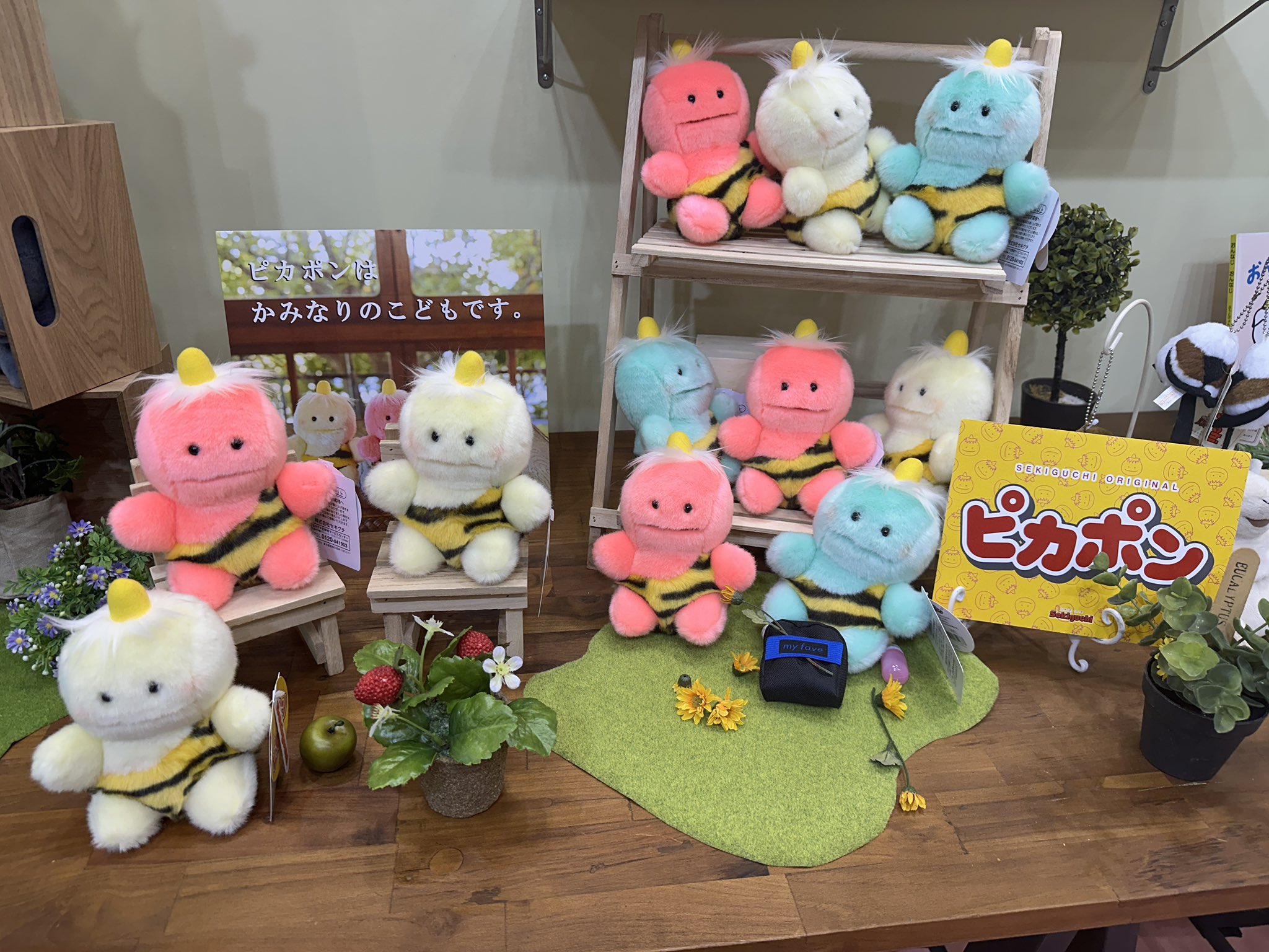 ピカポン! (@pikapon_pikapon) / X ピカポン! (@pikapon_pikapon) / X