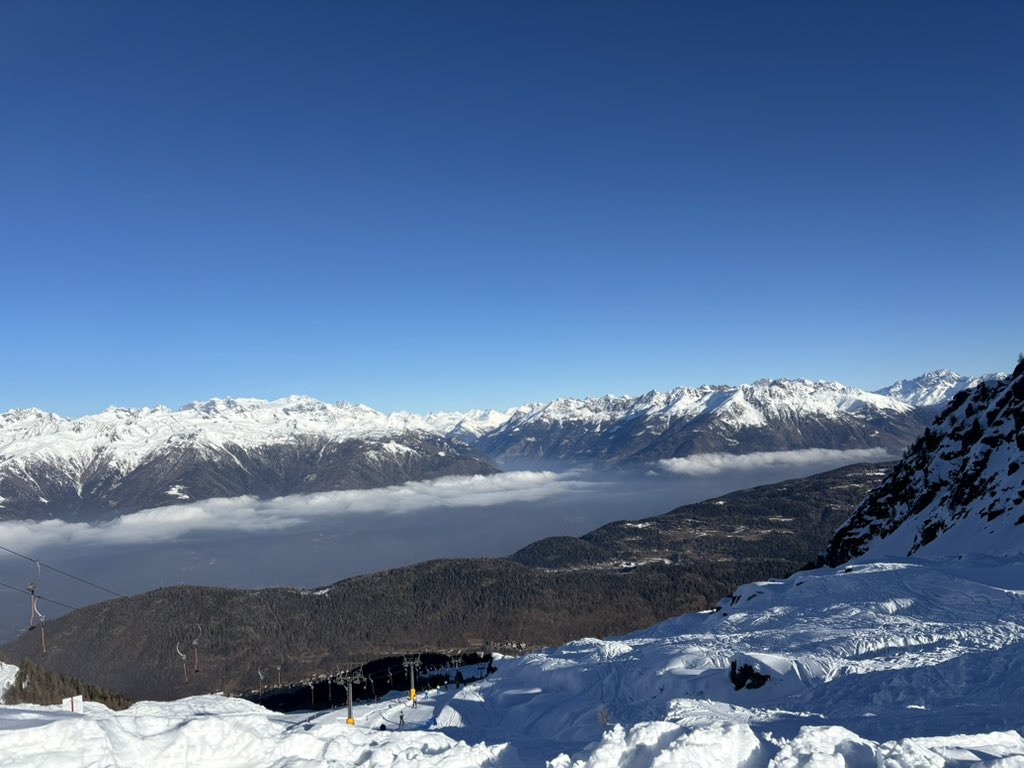 SJP Ski tweet media
