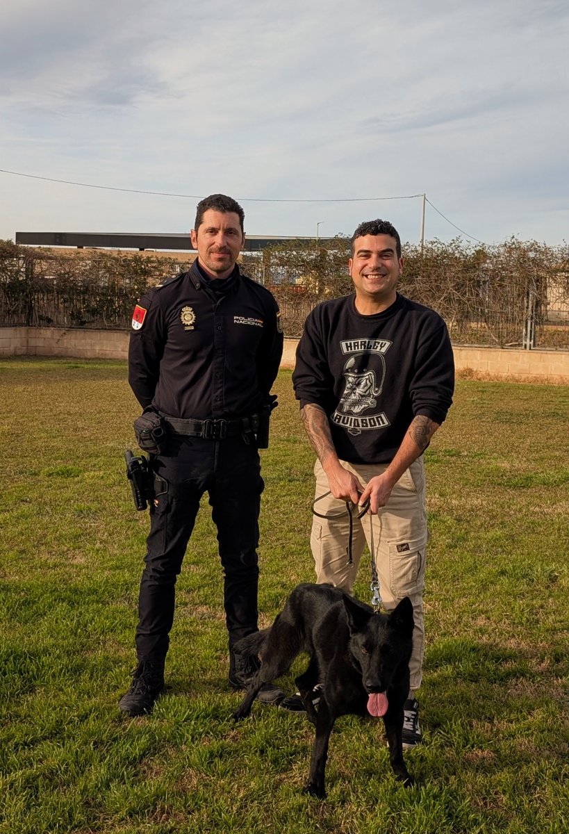 Adopta K9 (@adoptak) on Twitter photo Sirax, tus compañeros te echarán de menos, tu jubilación precipitada les ha dejado tristes pero te espera una maravillosa vida entre montañas con tu nuevo binomio. Feliz jubilación!
<a href="/policia/">Policía Nacional</a> Sirax, tus compañeros te echarán de menos, tu jubilación precipitada les ha dejado tristes pero te espera una maravillosa vida entre montañas con tu nuevo binomio. Feliz jubilación!
<a href="/policia/">Policía Nacional</a>