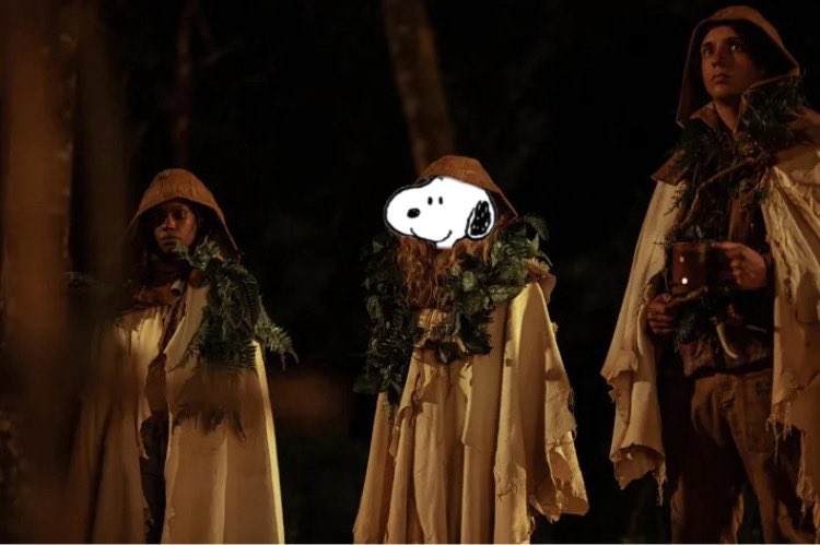 snoopy posters tweet media