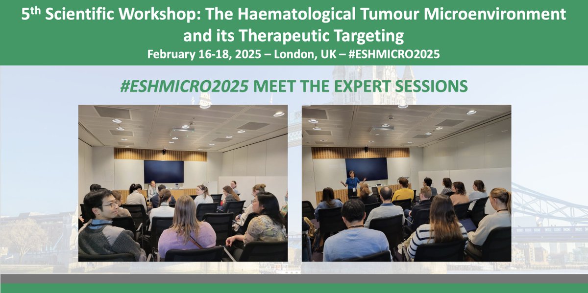 ESH (Haematology) (@eshaematology) on Twitter photo 🤝 #ESHMICRO2025 Another round of great Meet the Expert sessions with <a href="/mkonople/">Marina Konopleva</a>, Sattva S. Neelapu & Kwee Yong!
A perfect way to start the last day of the conference in London 🇬🇧
5th Scientific Workshop: Tumour #Microenvironment & its Therapeutic Targeting
#ESHCONFERENCES 🤝 #ESHMICRO2025 Another round of great Meet the Expert sessions with <a href="/mkonople/">Marina Konopleva</a>, Sattva S. Neelapu & Kwee Yong!
A perfect way to start the last day of the conference in London 🇬🇧
5th Scientific Workshop: Tumour #Microenvironment & its Therapeutic Targeting
#ESHCONFERENCES