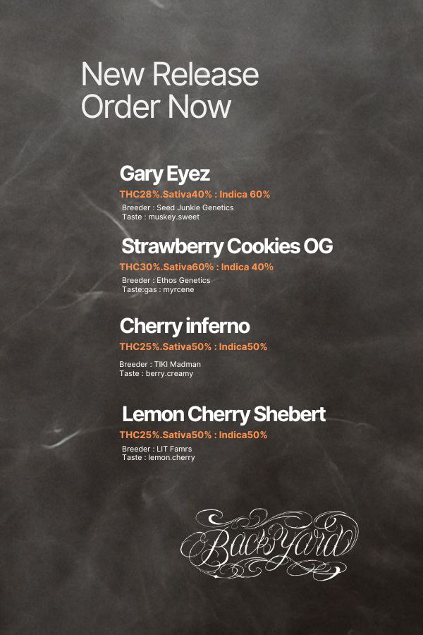 Back yard@official tweet media