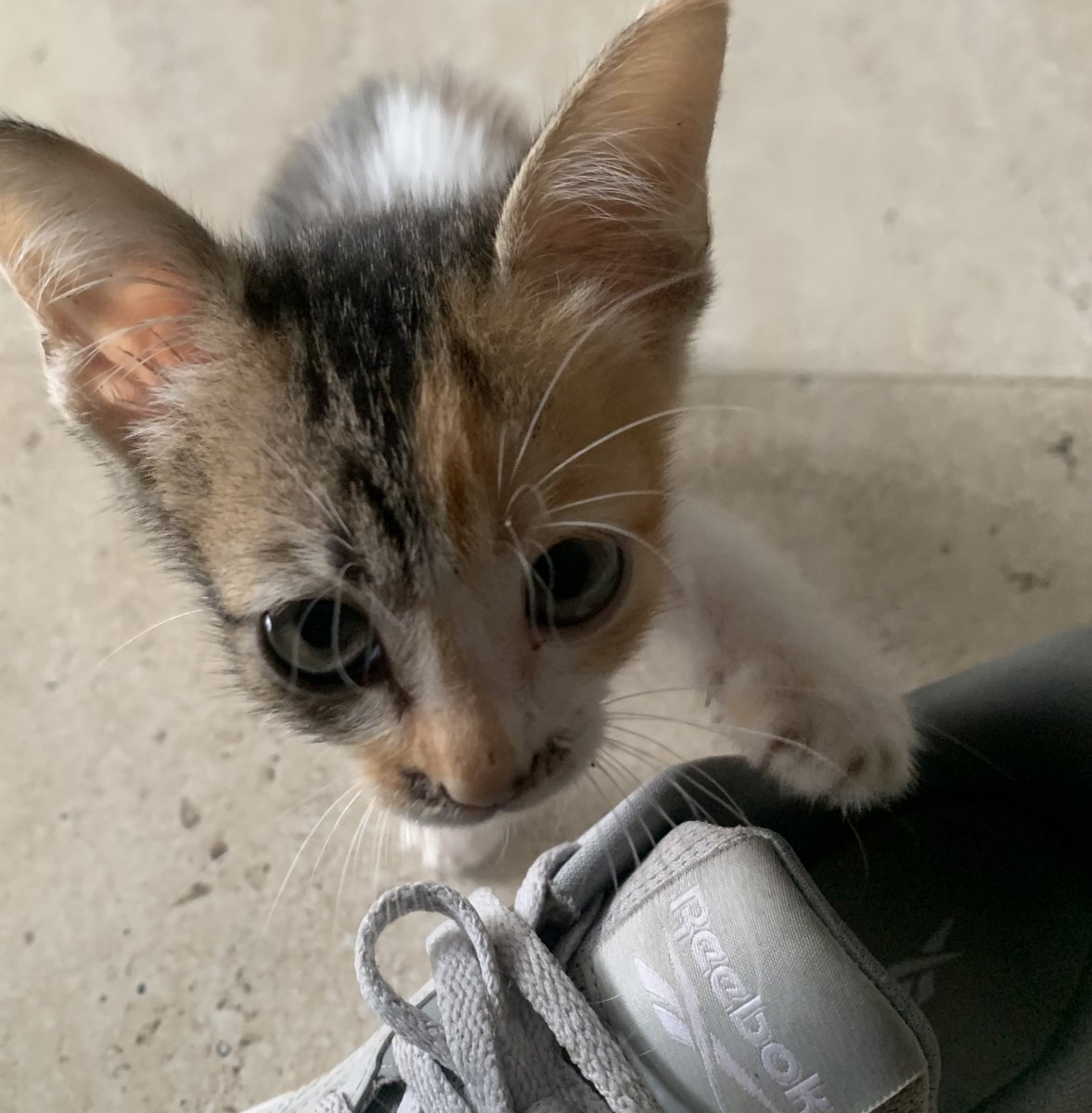 Why did she act like it’s HER SHOES.