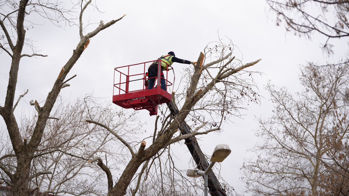 Daha Yeşil Bir Marmaraereğlisi İçin Çalışıyoruz! 🌳

Park ve Bahçeler Müdürlüğü ekiplerimiz, ilçemizin her köşesinde ağaç budama çalışmalarına tam gaz devam ediyor. Daha sağlıklı ve estetik bir çevre için durmadan çalışıyoruz!