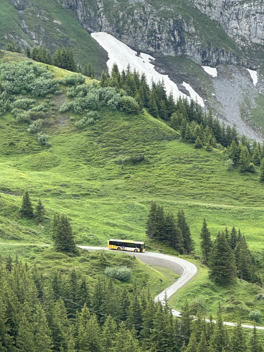 myswiss24's tweet image. Swiss Alps &amp;amp; the PostBus!
Swiss Alps with the classic yellow PostBus making its way through the mountains!
Have you ever taken this bus? If not, would you love to try it?
#SwissAlps #PostBus #SwitzerlandTravel #ScenicRoutes #MySwiss24