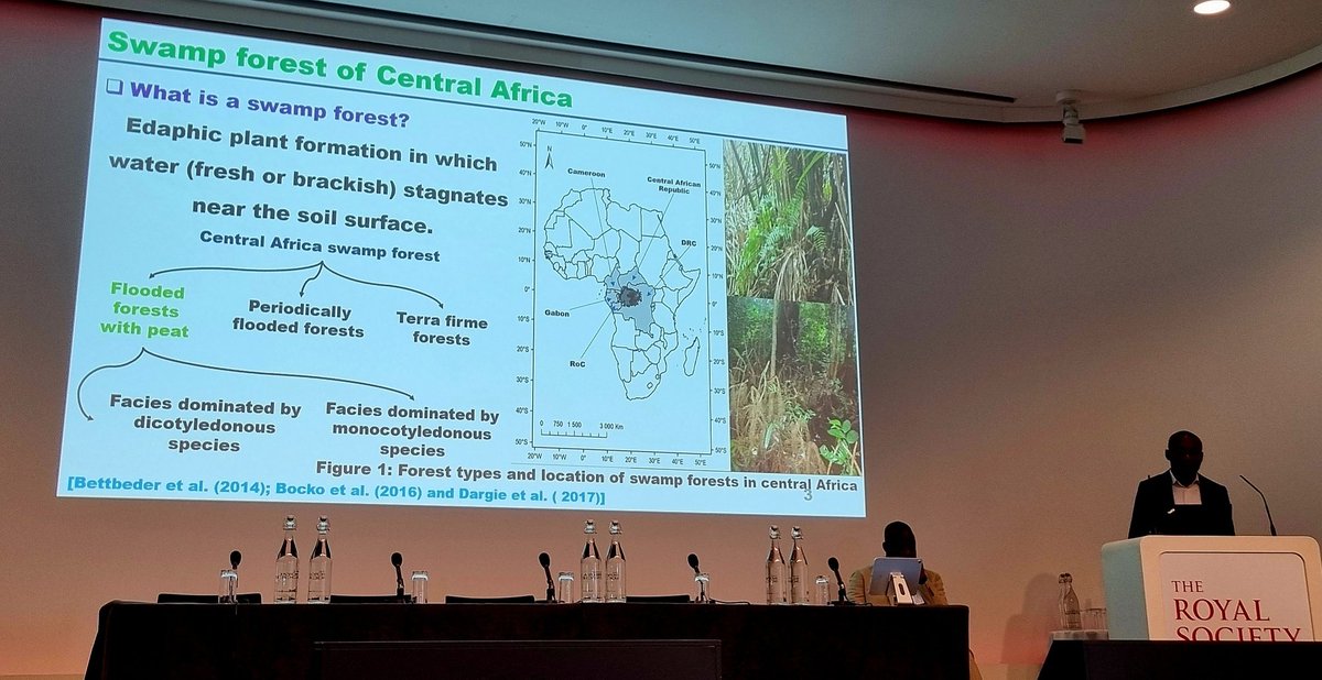 Starting the second day of our African Peatlands meeting at the <a href="/royalsociety/">The Royal Society</a>, Yannick Bocko explains spatial variability in biomass across the Congo peatlands - the vegetation machine for carbon-dense ecosystem development <a href="/CongoPeat/">CongoPeat</a>