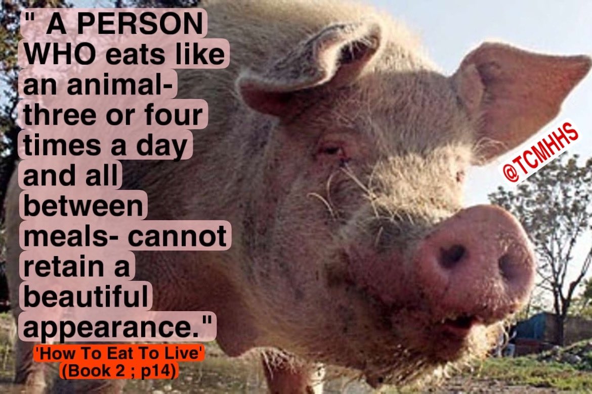 TCMHHS's tweet image. #Elijah #HowToEatToLive #Appearance