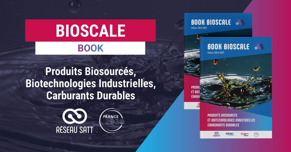 [BOOK 📕] #BIOSCALE 🌱

Découvrez le Consortium #BIOSCALE mobilisé pour accélérer le développement des biotechnologies industrielles françaises &amp; la fabrication de produits biosourcés. #France2030

Les 2 chefs de file : INRAE Transfert &amp; <a href="/SATT_Toulouse/">ToulouseTechTransfer</a>

▶️ satt.fr/book-bioscale/