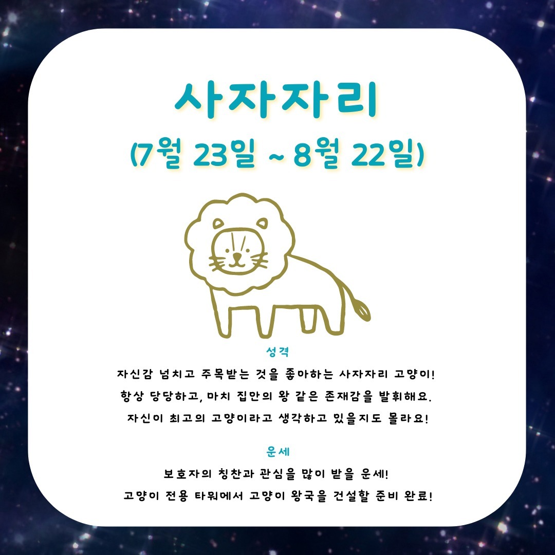 고양이만 진료하는-고양이병원 백산동물병원 tweet media