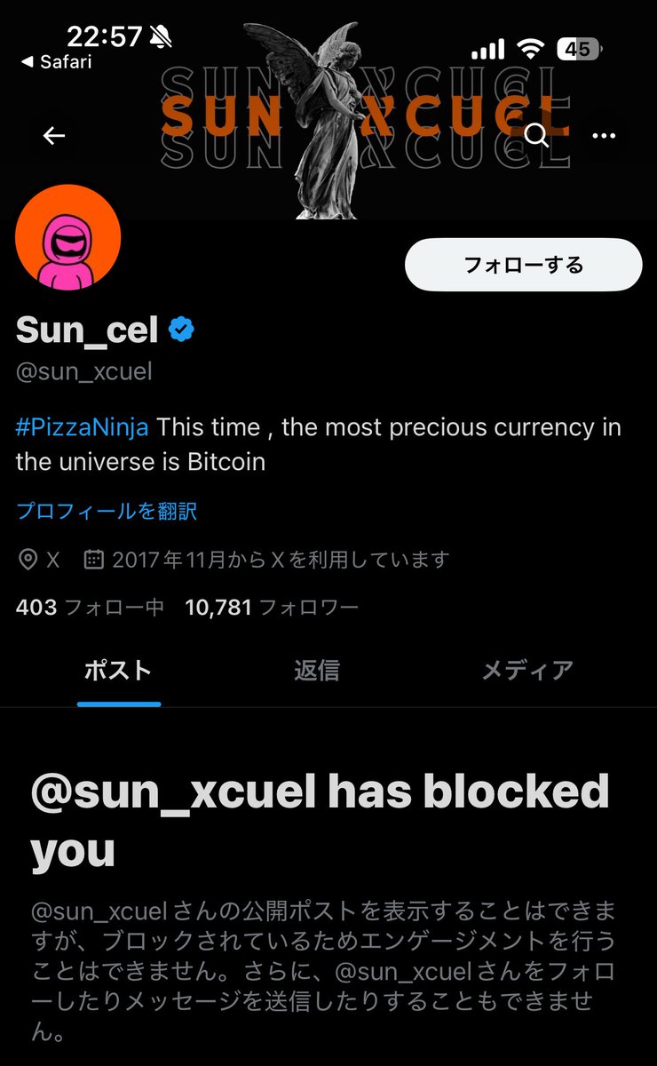 Pirate King (@PirateK81194619) / Posts / X